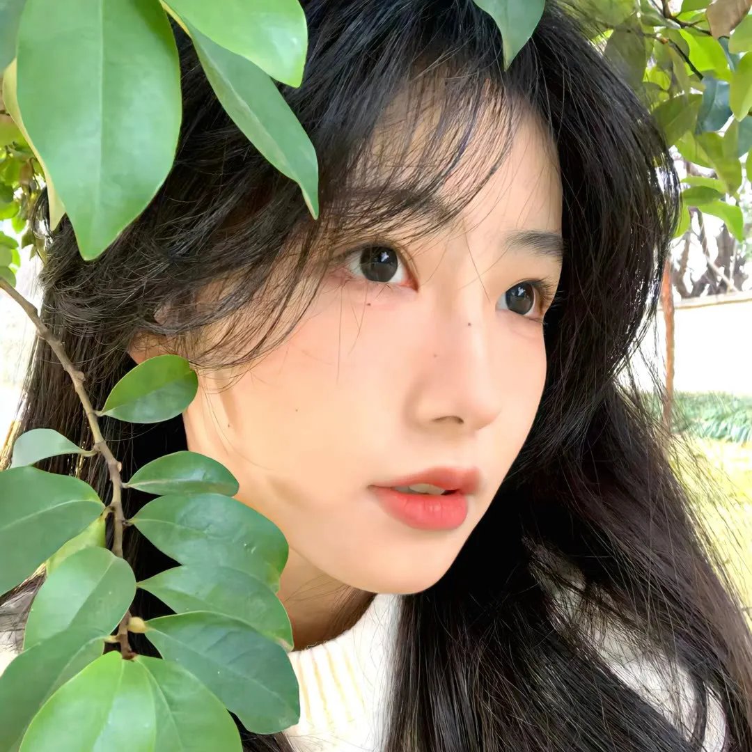 送你一片温柔